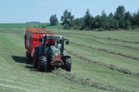 Schnittgrünland, Heuernte zweiter Schnitt, Traktor mit Ladewagen
