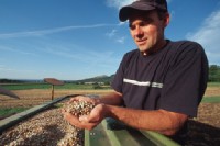 Ökolandwirt, Aussaat der Zwischenfrucht mit vielen Pflanzenarten u.a. Sonnenblume, Ackerbohne, Erbse, Buchweizen, Getreidesorten