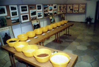 Bild: 


Die Wanderausstellung