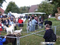 Veranstaltungsbesucher