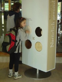 Kind beim 
Erraten von Tierfellen und -stimmen