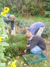 Sch&uuml;ler im Garten
