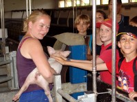 Kinder lernen Bauernhoftiere kennen