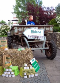 Bild: 